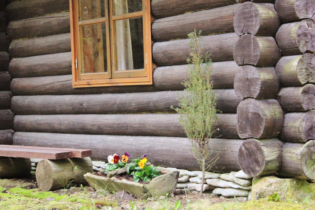 Hotel Kuuli Puhkemajad Tagaranna Habitación foto